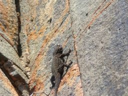 283347_10150265621964901_6022386_n